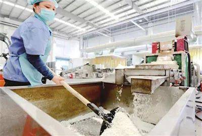 愿天下無廢 讓西青更美 ──記萬綠達(天津)再生資源利用