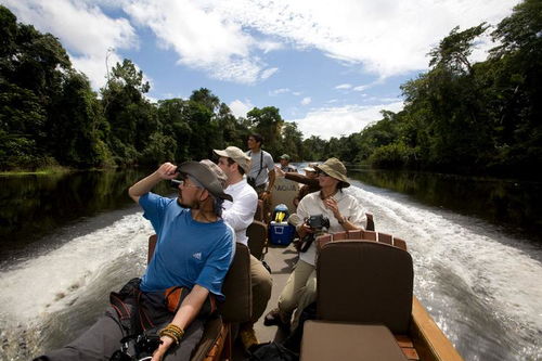 拖箱與背包 國(guó)人旅游偏好背后的文化差異